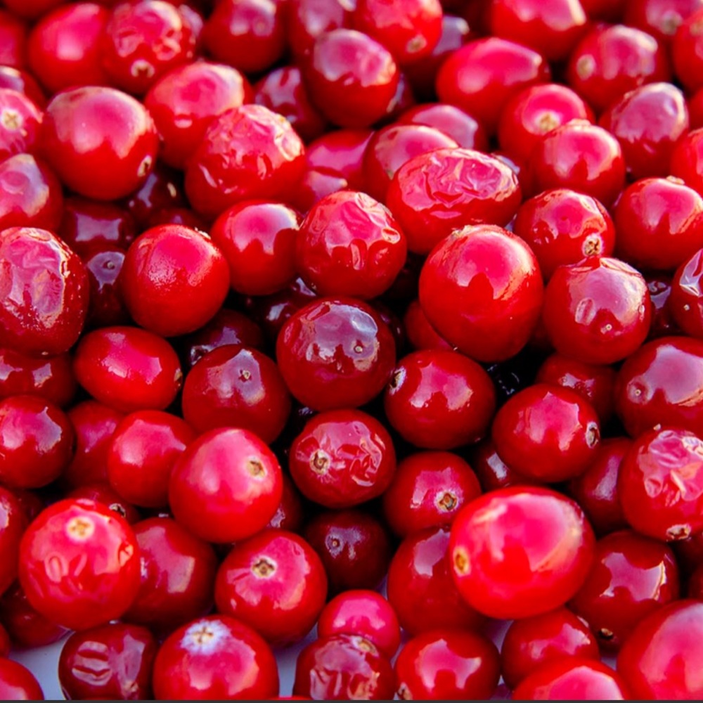 Cranberry Pyrex is Next